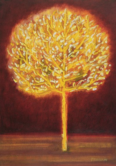 Blossoming Tree, 1997 by Peter Davidson